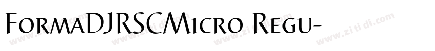 FormaDJRSCMicro Regu字体转换